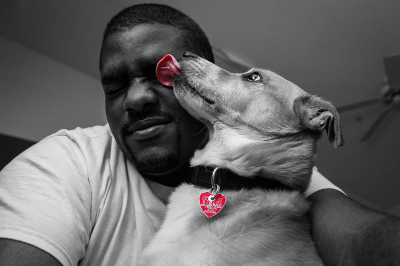 Top Three Reasons Why Your Dog Licks You