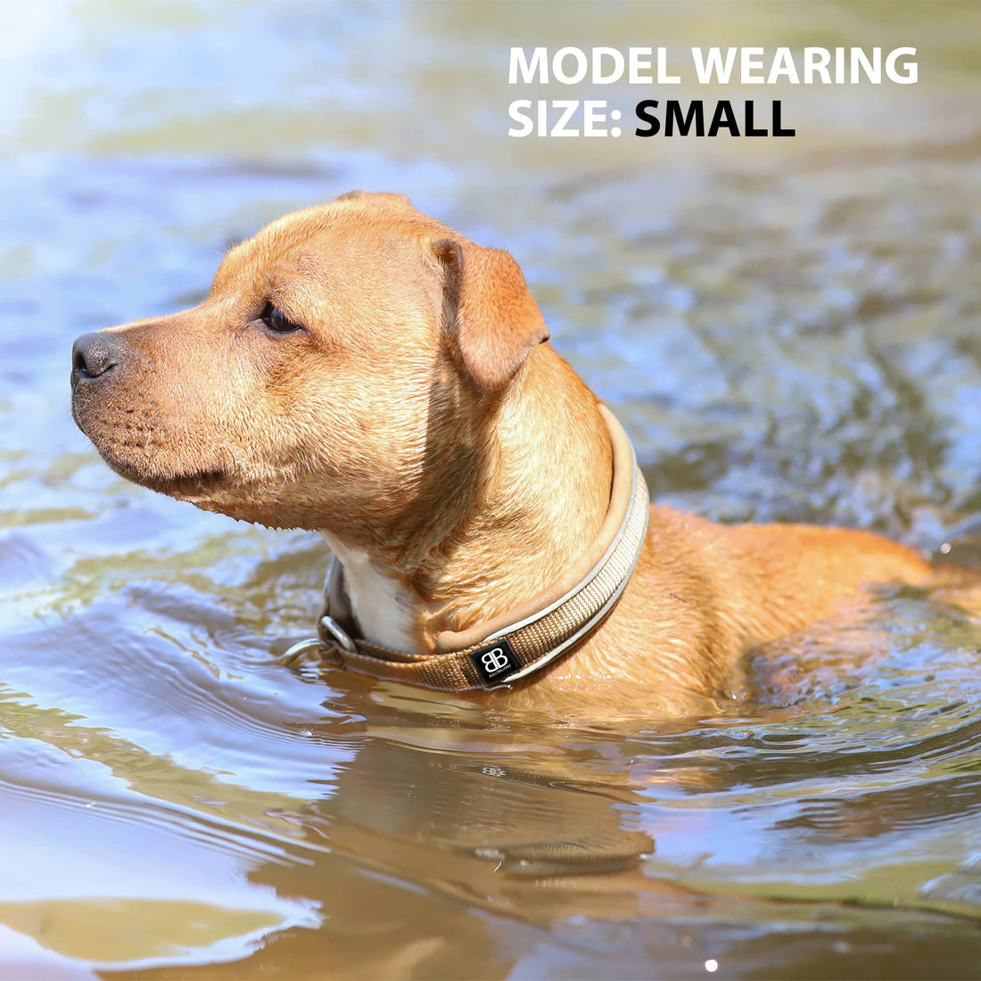 featured image of 3cm Slip on Collar | Foam Padded - Khaki