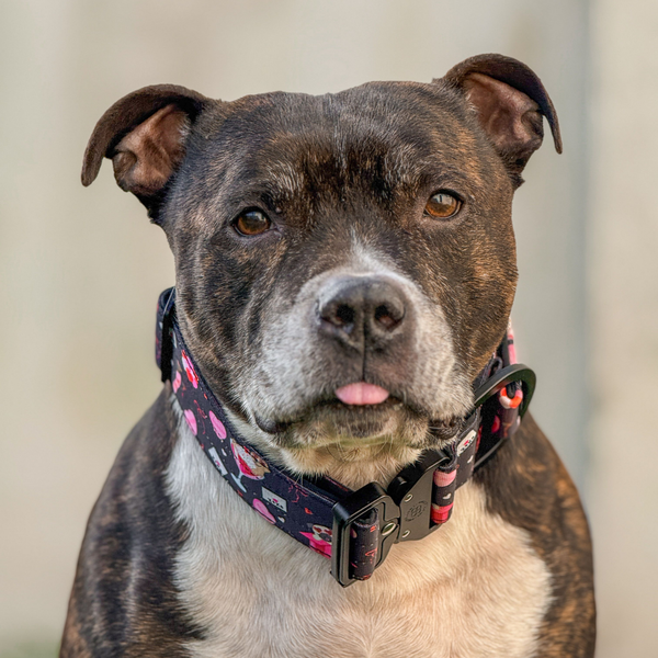 4cm Lighter Combat® Collar | Dark Love Edition