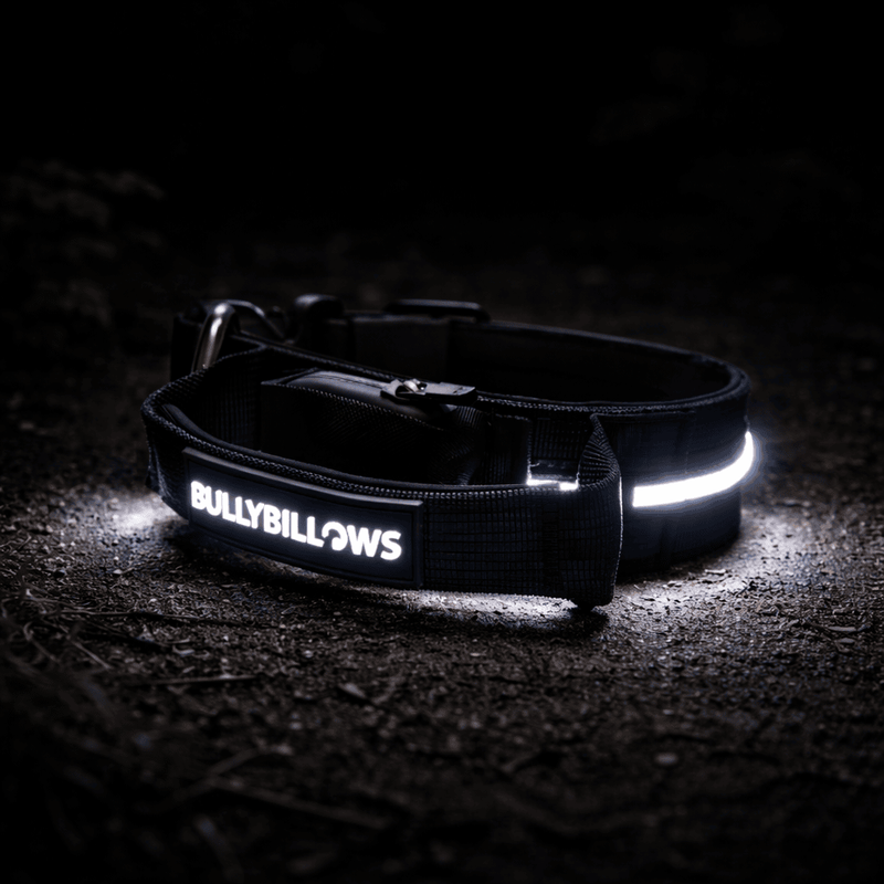 4cm Light Up LED Combat® Collar | Handle - Black