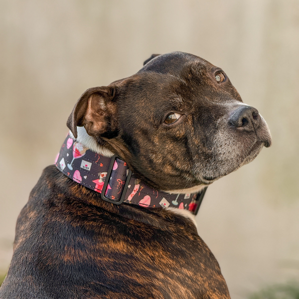 4cm Lighter Combat® Collar | Dark Love Edition