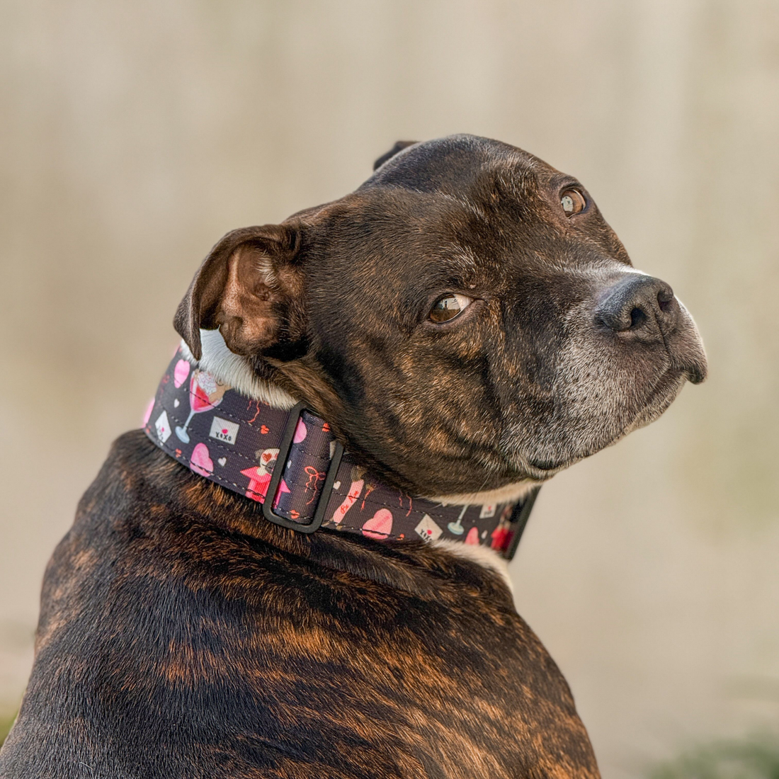 featured image of 2.5cm Lighter Combat® Collar | With Handle & Secure Clip - Dark Love Edition