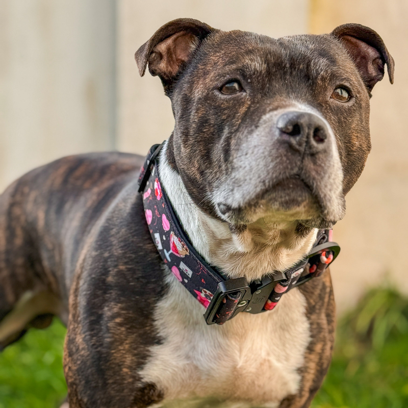 4cm Lighter Combat® Collar | Dark Love Edition