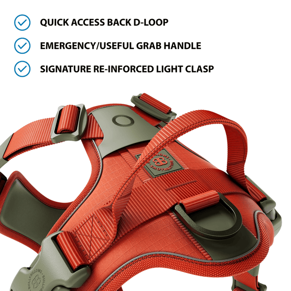 Anti Pull Hurricane Harness Lighter | With Handle - Burnt Orange X Khaki