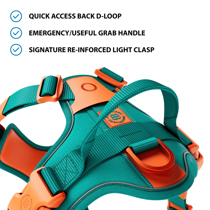 Anti Pull Hurricane Harness Lighter | With Handle - Turquoise X Orange
