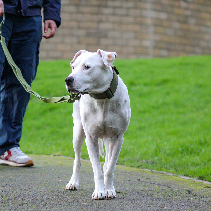 Adjustable Billowthane Leash | 2-3 metres - Khaki