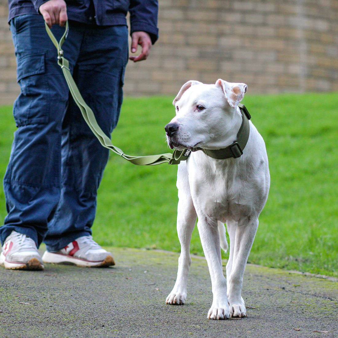 featured image of Adjustable Billowthane Leash | 2-3 metres - Pink