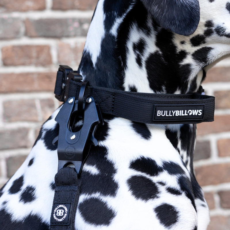 4cm LIGHTER Combat® Collar | With Handle & Secure Clip - Black x Black