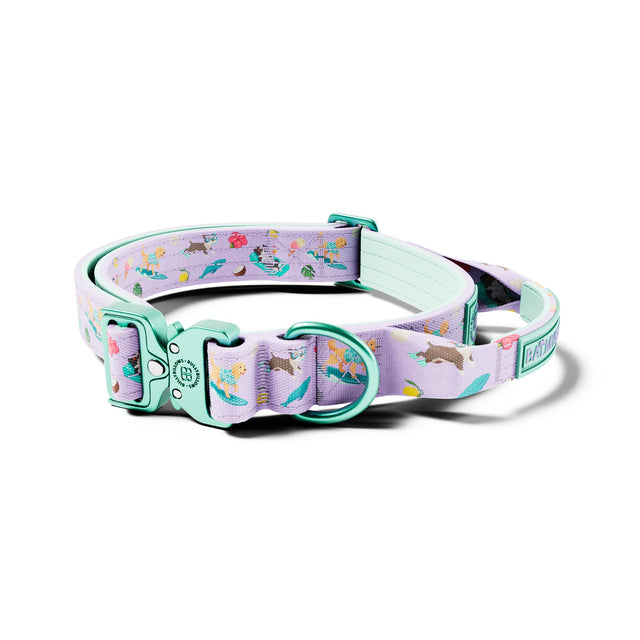 2.5cm Lighter Combat® Collar | With Handle & Secure Clip - BalmyBillows Purple