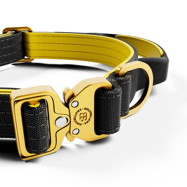2.5cm Lighter Combat® Collar | Handle & Rated Clip - Black x Yellow