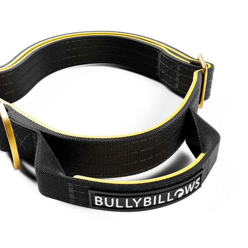 2.5cm Lighter Combat® Collar | Handle & Rated Clip - Black x Yellow