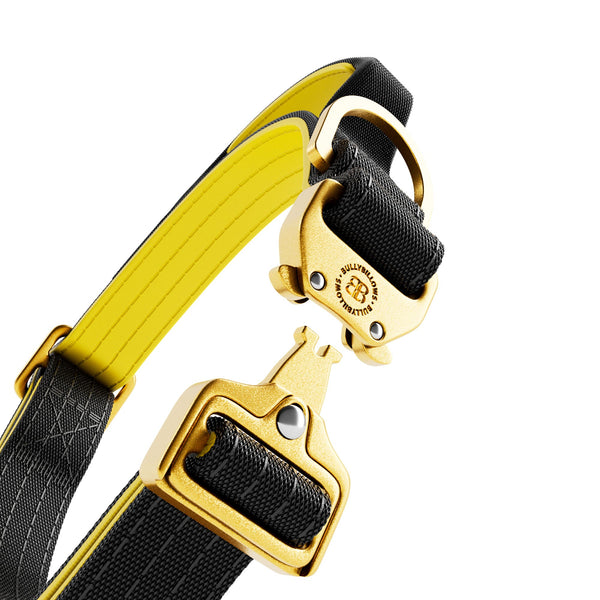 2.5cm Lighter Combat® Collar | Handle & Rated Clip - Black x Yellow