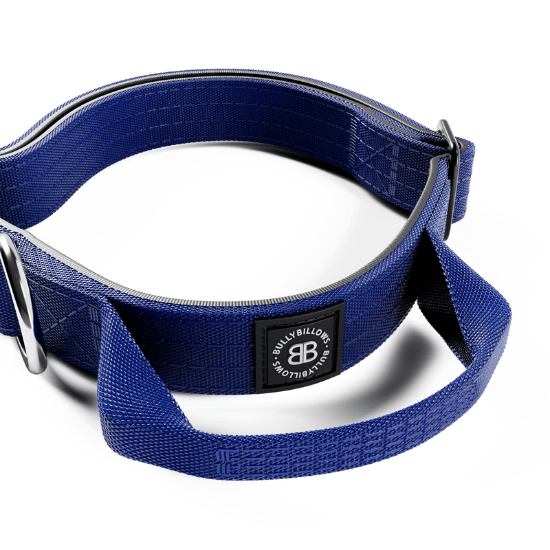 2.5cm Combat® Collar | With Handle & Rated Clip - Blue