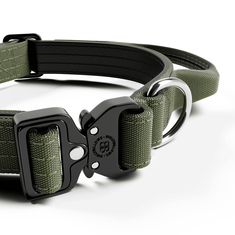 2.5cm Combat® Collar | With Handle & Rated Clip - Khaki