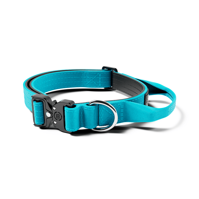 2.5cm Combat® Collar | With Handle & Secure Clip - Light Blue