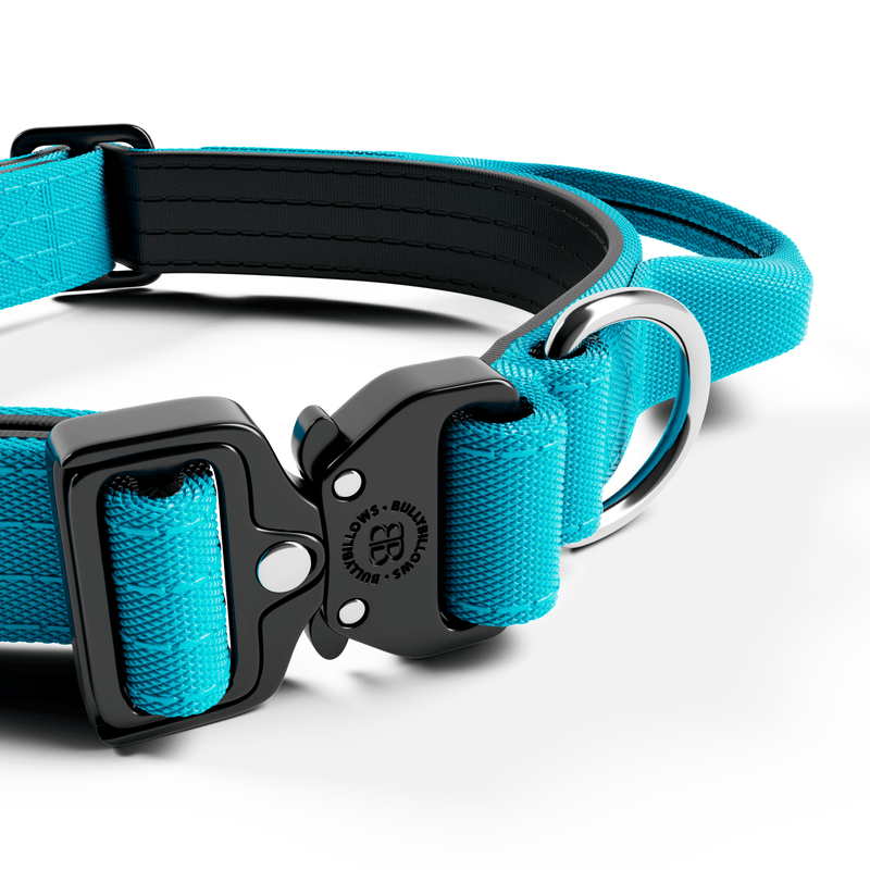 2.5cm Combat® Collar | With Handle & Rated Clip - Light Blue