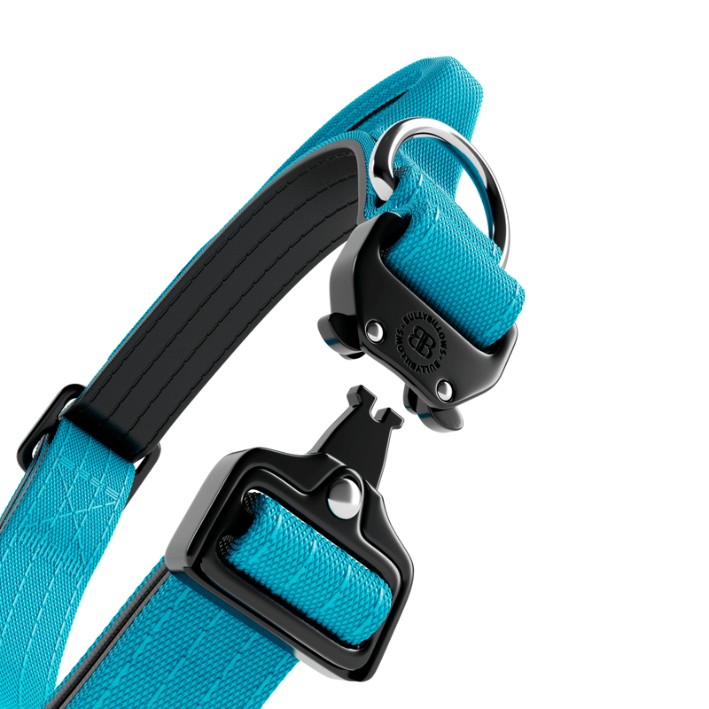 2.5cm Combat® Collar | With Handle & Rated Clip - Light Blue