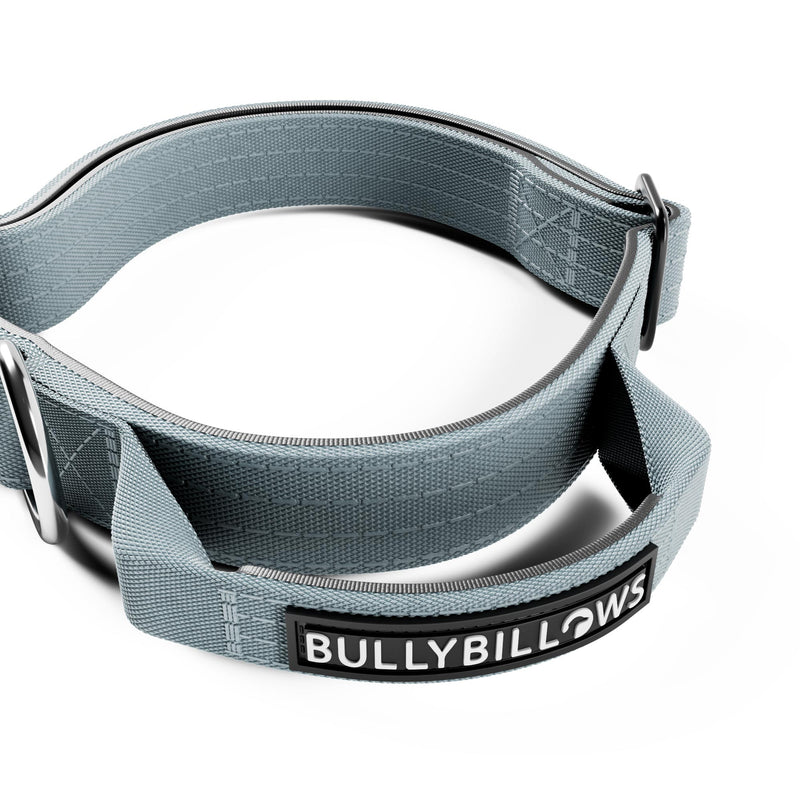 2.5cm Combat® Collar | With Handle & Rated Clip - Metal Grey