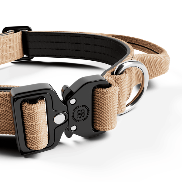 2.5cm Combat® Collar | With Handle & Rated Clip - Tan
