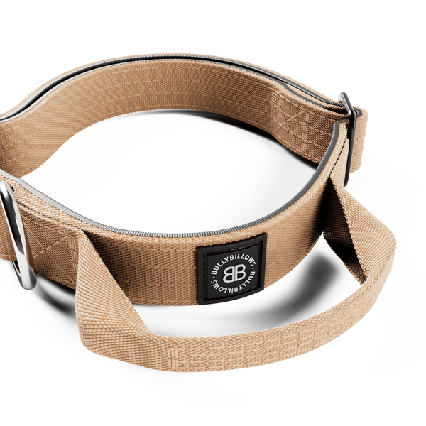 2.5cm Combat® Collar | With Handle & Rated Clip - Tan