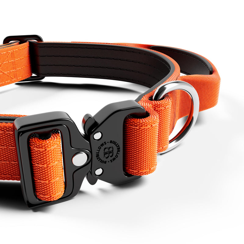 2.5cm Combat® Collar | With Handle & Rated Clip - Orange