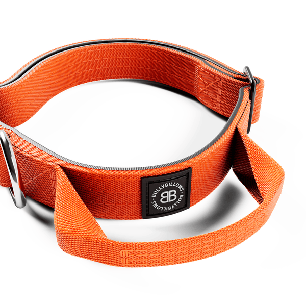 2.5cm Combat® Collar | With Handle & Rated Clip - Orange