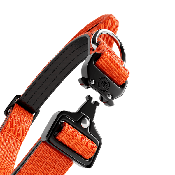2.5cm Combat® Collar | With Handle & Rated Clip - Orange
