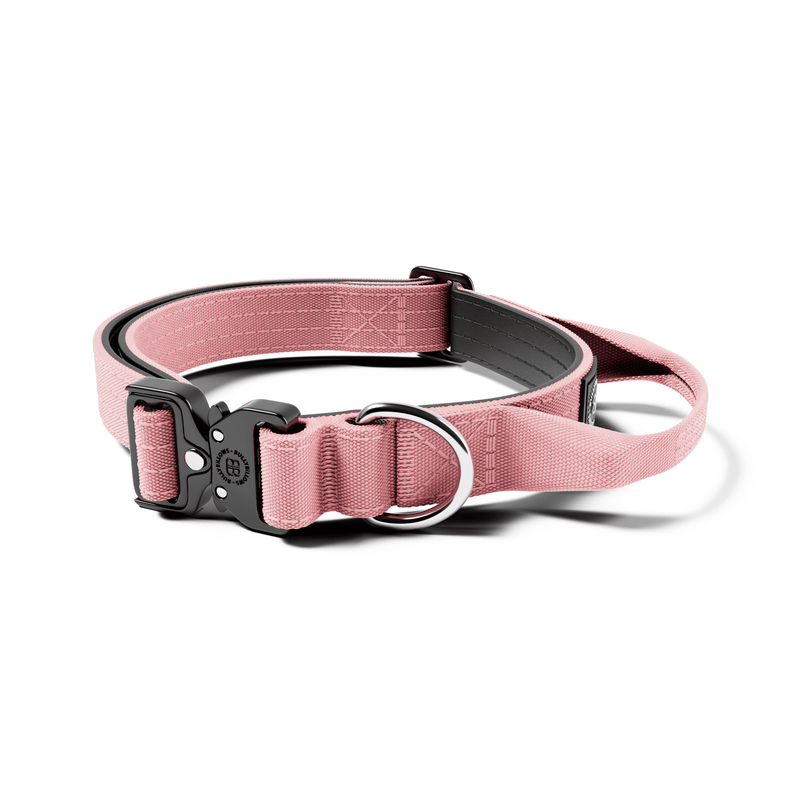 2.5cm Combat® Collar | With Handle & Rated Clip - Pink