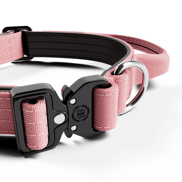 2.5cm Combat® Collar | With Handle & Rated Clip - Pink