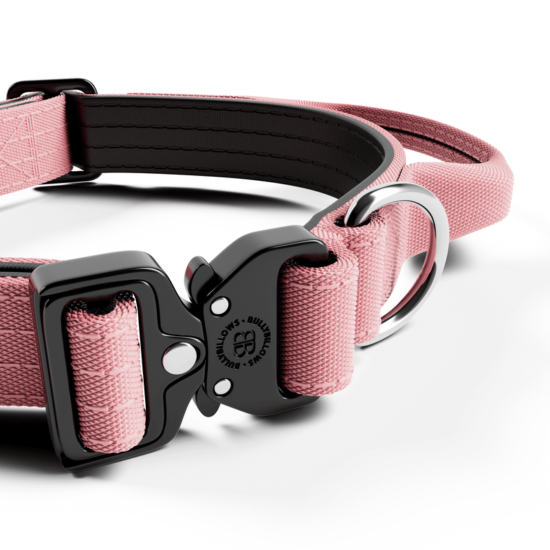 2.5cm Combat® Collar | With Handle & Rated Clip - Pink