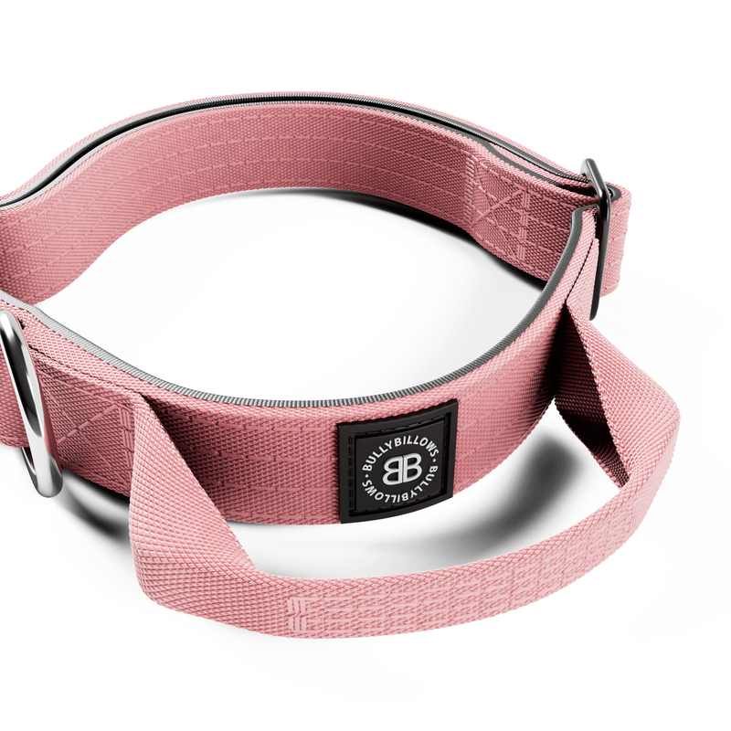 2.5cm Combat® Collar | With Handle & Rated Clip - Pink