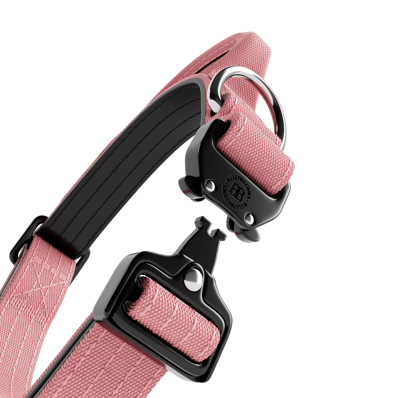 2.5cm Combat® Collar | With Handle & Rated Clip - Pink