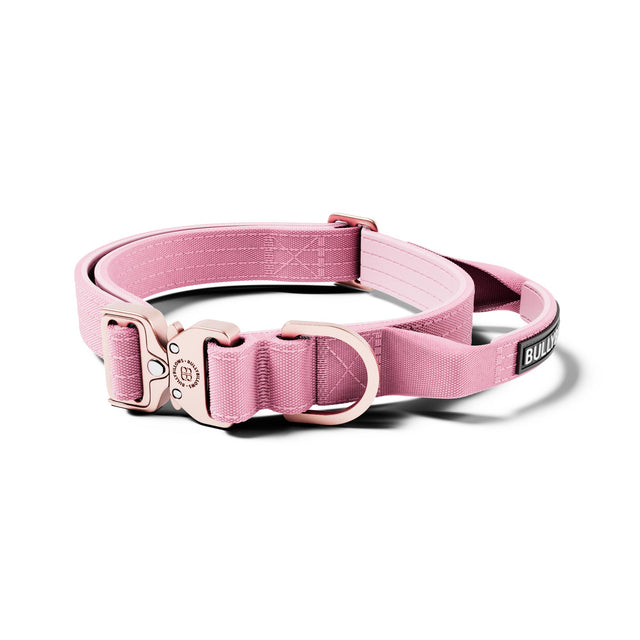 2.5cm Lighter Combat® Collar | With Handle & Secure Clip - Pink x Pink