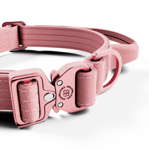 2.5cm Lighter Combat® Collar | Handle & Rated Clip - Pink x Pink