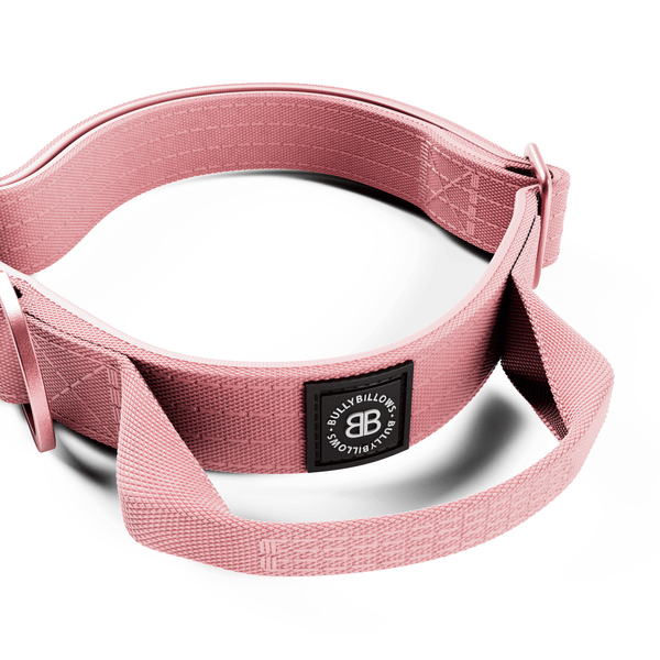 2.5cm Lighter Combat® Collar | Handle & Rated Clip - Pink x Pink