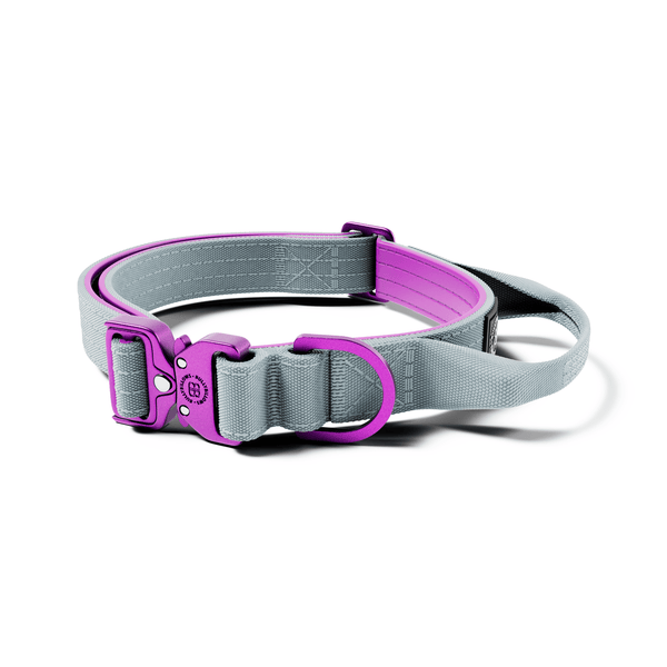 2.5cm Lighter Combat® Collar | Handle & Rated Clip - Purple x Grey