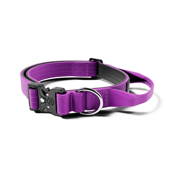 2.5cm Combat® Collar | With Handle & Rated Clip - Purple