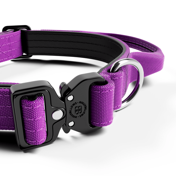 2.5cm Combat® Collar | With Handle & Rated Clip - Purple