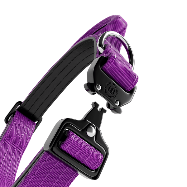 2.5cm Combat® Collar | With Handle & Rated Clip - Purple