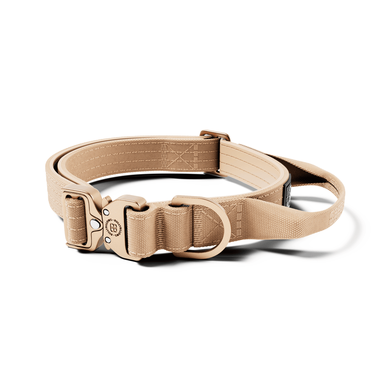 2.5cm Lighter Combat® Collar | Handle & Rated Clip - Tan x Tan