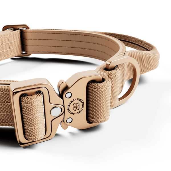 2.5cm Lighter Combat® Collar | Handle & Rated Clip - Tan x Tan