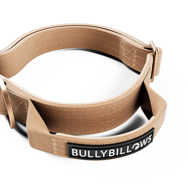 2.5cm Lighter Combat® Collar | Handle & Rated Clip - Tan x Tan