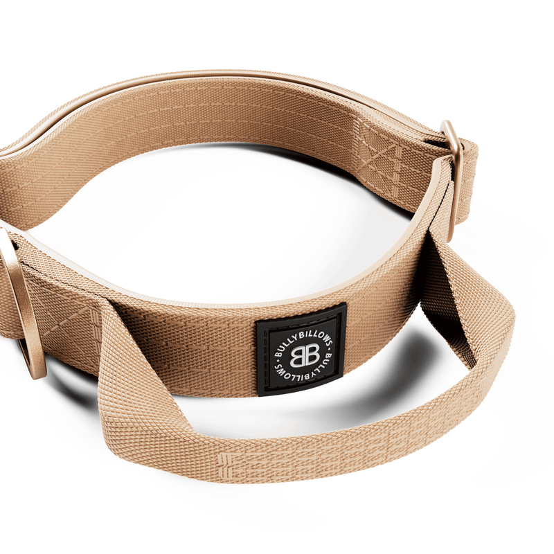 2.5cm Lighter Combat® Collar | Handle & Rated Clip - Tan x Tan