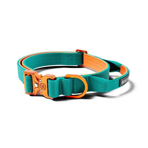 2.5cm Lighter Combat® Collar | Handle & Rated Clip - Turquoise x Orange