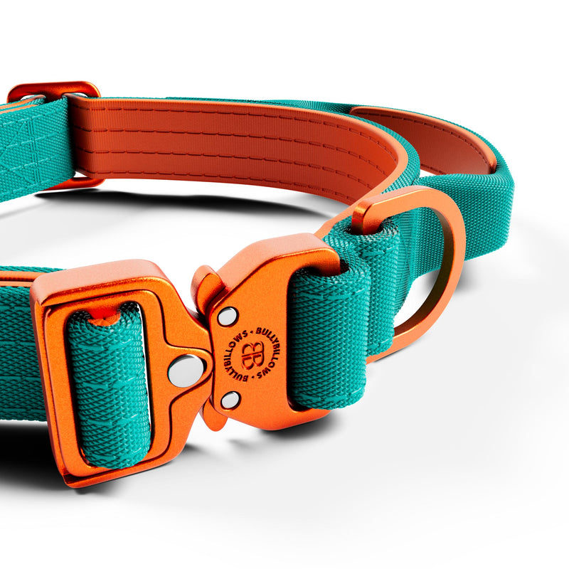 2.5cm Lighter Combat® Collar | Handle & Rated Clip - Turquoise x Orange