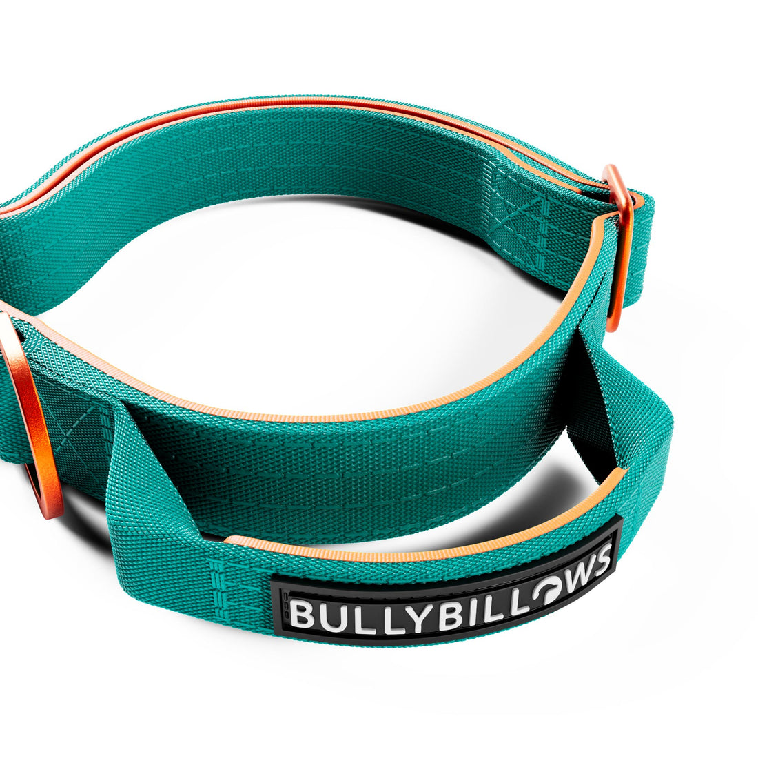 featured image of 2.5cm Lighter Combat® Collar | With Handle & Secure Clip - Turquoise x Orange