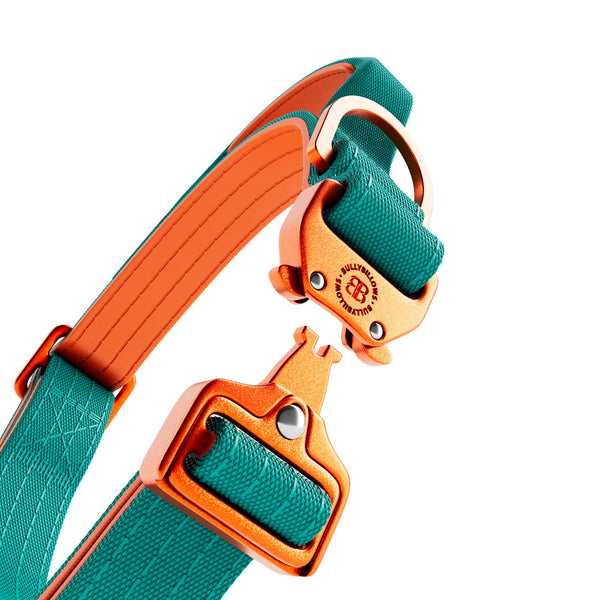 2.5cm Lighter Combat® Collar | Handle & Rated Clip - Turquoise x Orange