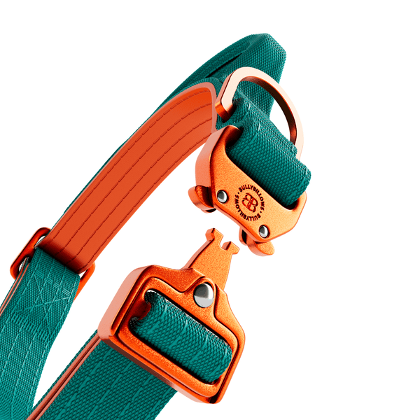2.5cm Lighter Combat® Collar | Handle & Rated Clip - Turquoise x Orange
