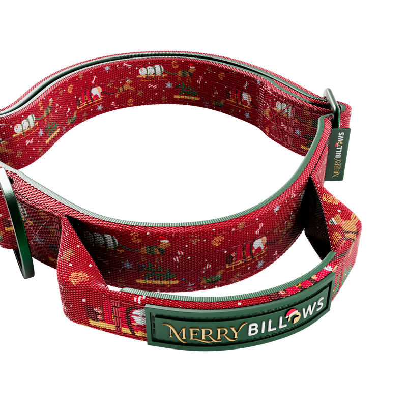 2.5cm Lighter Combat® Collar | MerryBillows