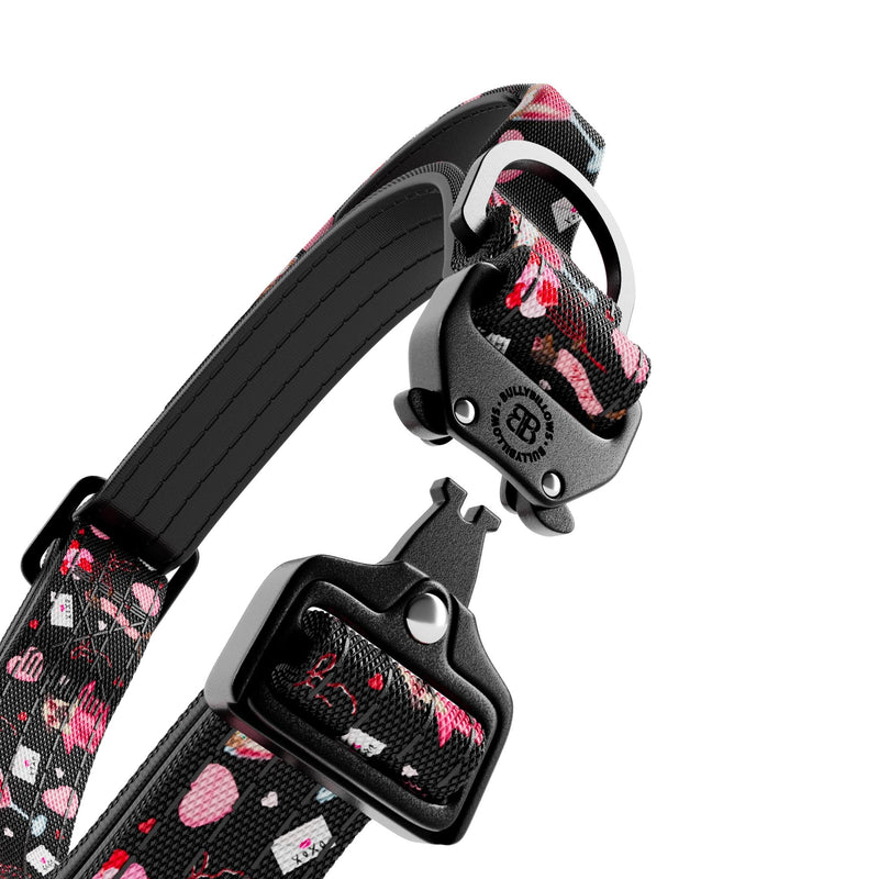 Sweet Steps 2.5cm Collar & Lead Bundle - Black